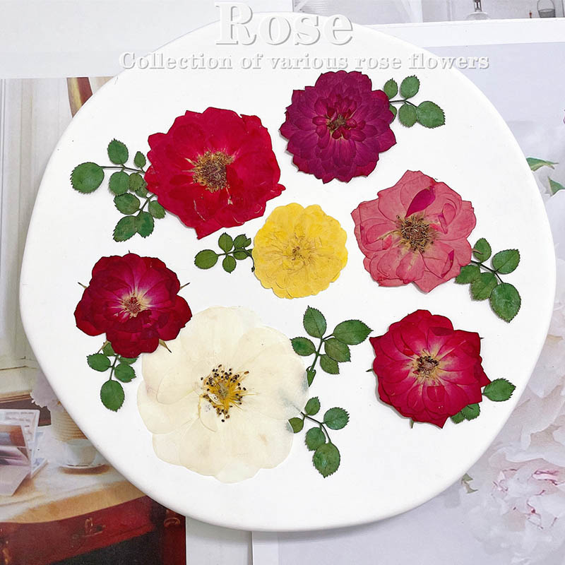 Dried Flower Bookmark - 60 個プレス乾燥赤黄ピンクローズフラワー植物ハーバリウムジュエリーブックマークスクラップブック電話ケースキャンドルランプシェード DIY