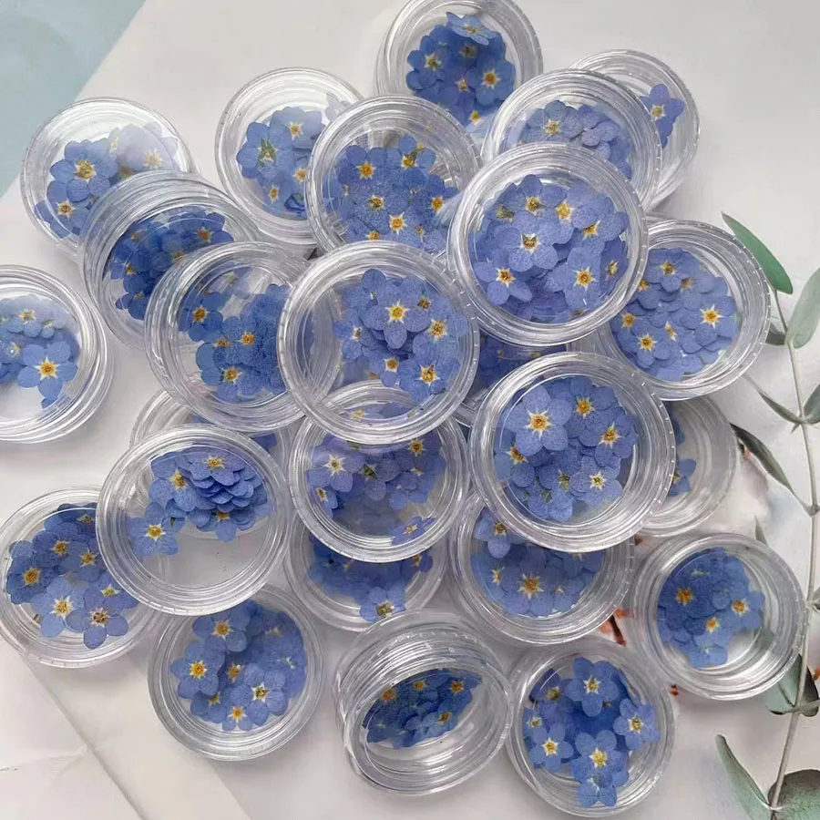 天然乾燥ブルーフォーゲットメノット（忘れな草）の花、ミオソテ - Dried Flower Bookmark のレビューと価格