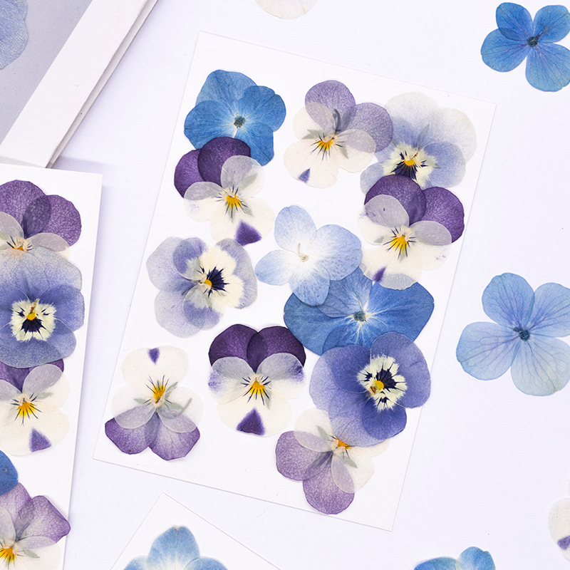 12個入り、本物のヴィオラ・コルヌータ押し花、天然花びら、D - Dried Flower Bookmark のレビューと価格