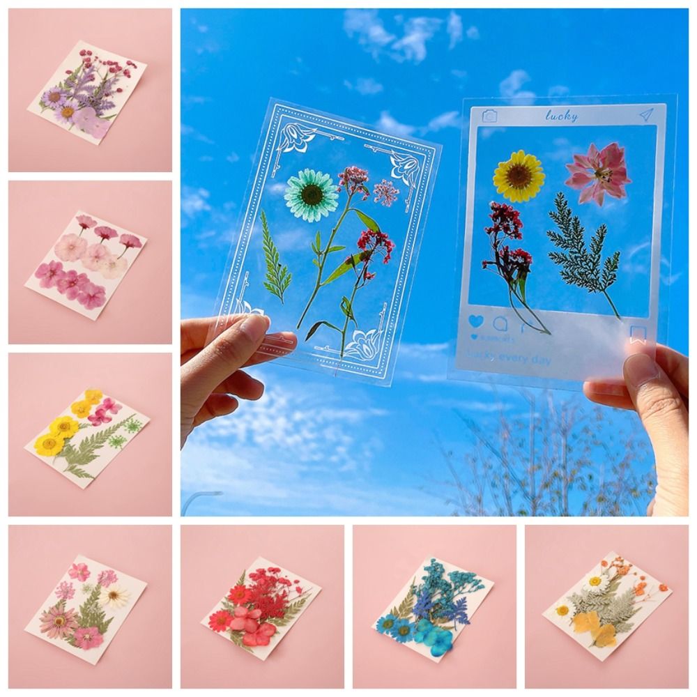 DIY材料 DIYドライフラワーブックマーク プレスフラワー - Dried Flower Bookmark のレビューと価格