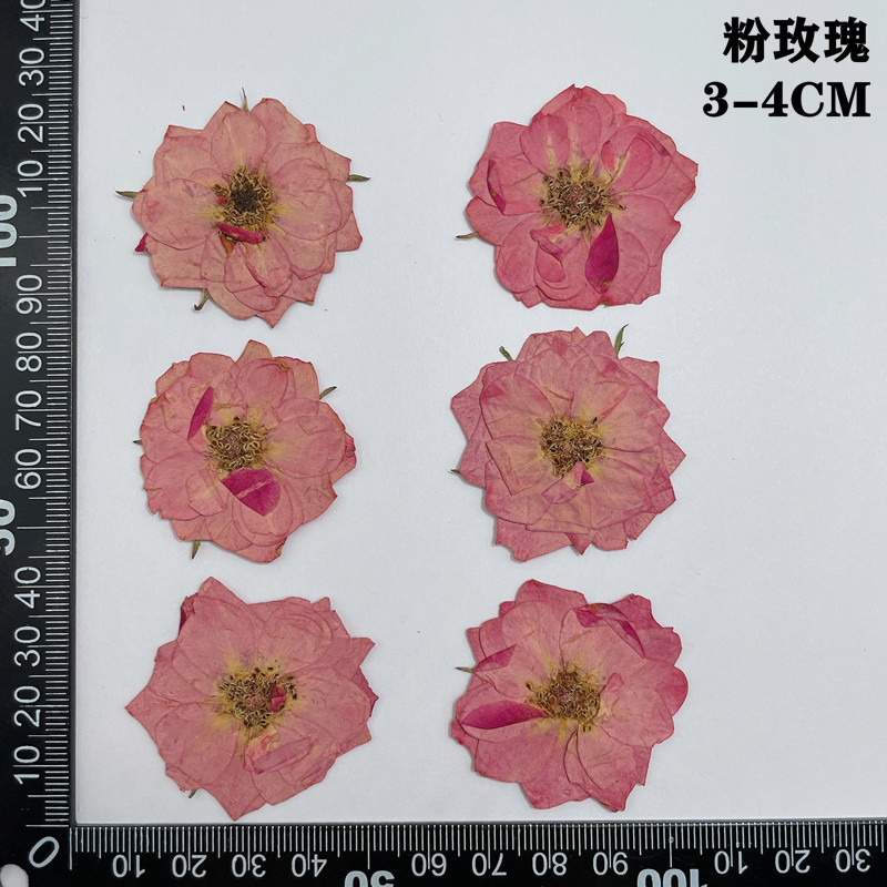 60 個プレス乾燥赤黄ピンクローズフラワー植物ハーバリウムジ - Dried Flower Bookmark のレビューと価格