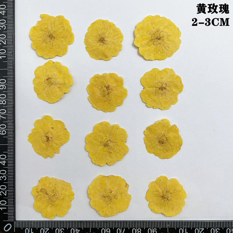 60 個プレス乾燥赤黄ピンクローズフラワー植物ハーバリウムジ - Dried Flower Bookmark のレビューと価格