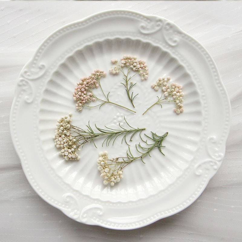 12個入り、天然キビの花の枝、押し花DIY接着剤ドロップ携帯 - Dried Flower Bookmark のレビューと価格