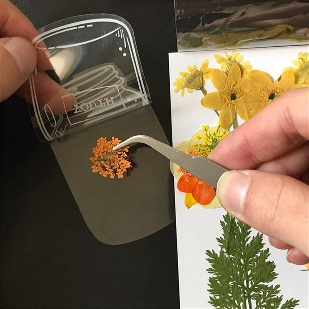透明なドライフラワーブックマーク,30個,DIY,ウィッシュ - Dried Flower Bookmark のレビューと価格